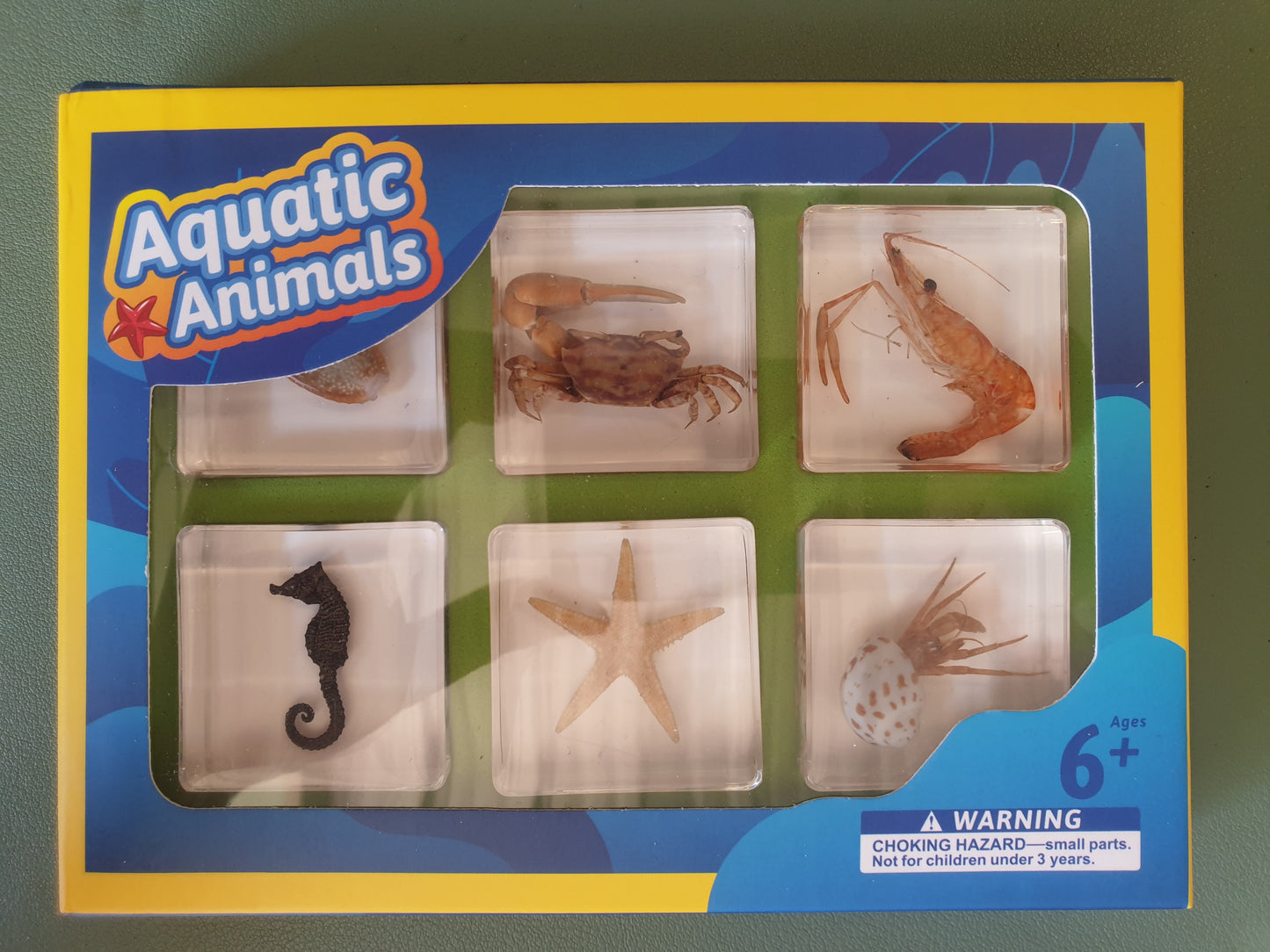 6 Aquatic Animals Resin Specimens Gift Set For Children - HAPPY GUMNUT
