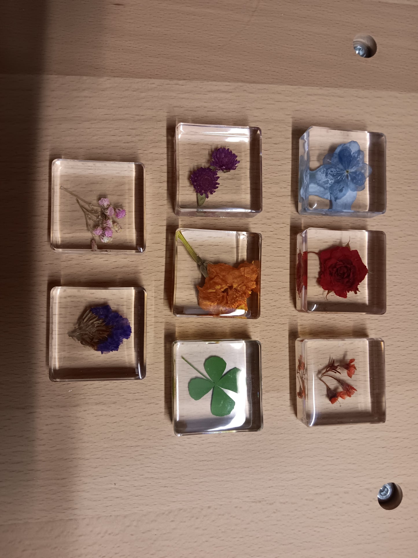 PLANTS FLOWER PETAL AND FAUNA Specimens Resin Epoxy Blocks