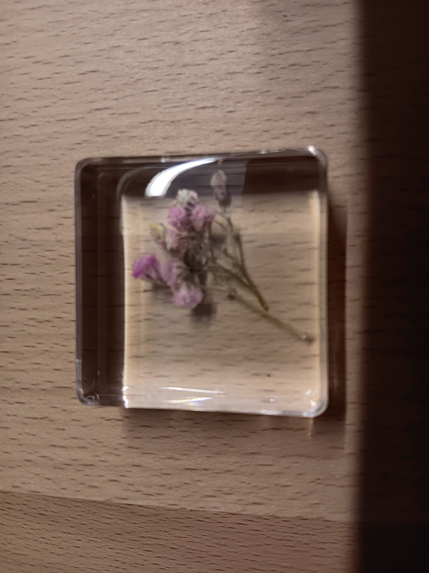 PLANTS FLOWER PETAL AND FAUNA Specimens Resin Epoxy Blocks