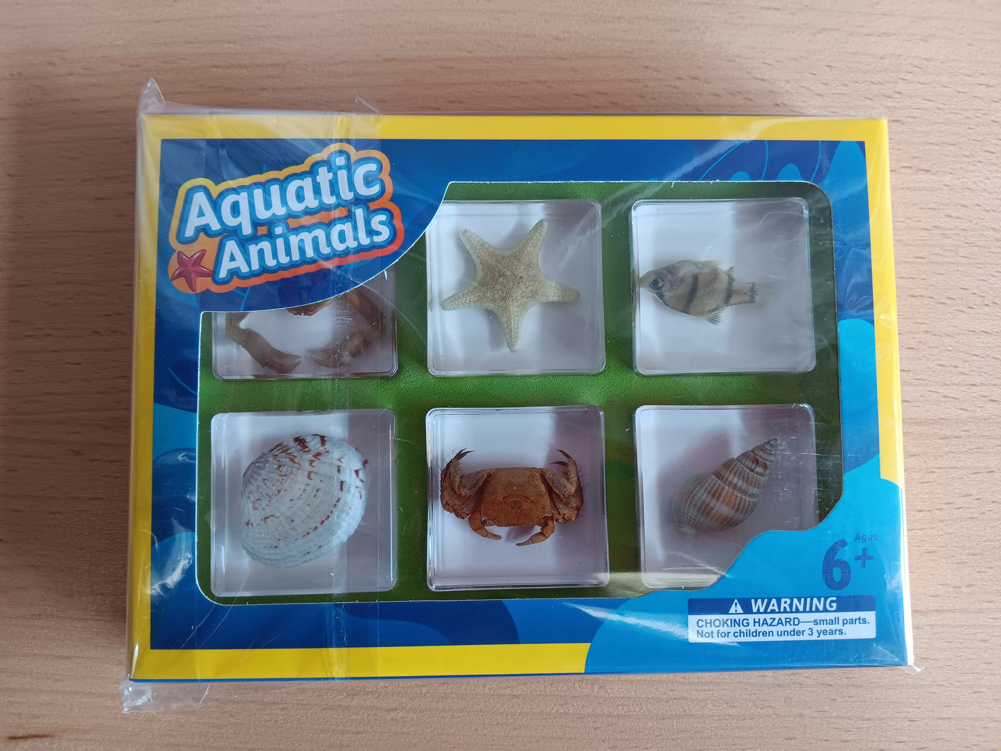 6 Aquatic Marine Animals Resin Epoxy Specimens Gift Set For Children Style B Crab Starfish