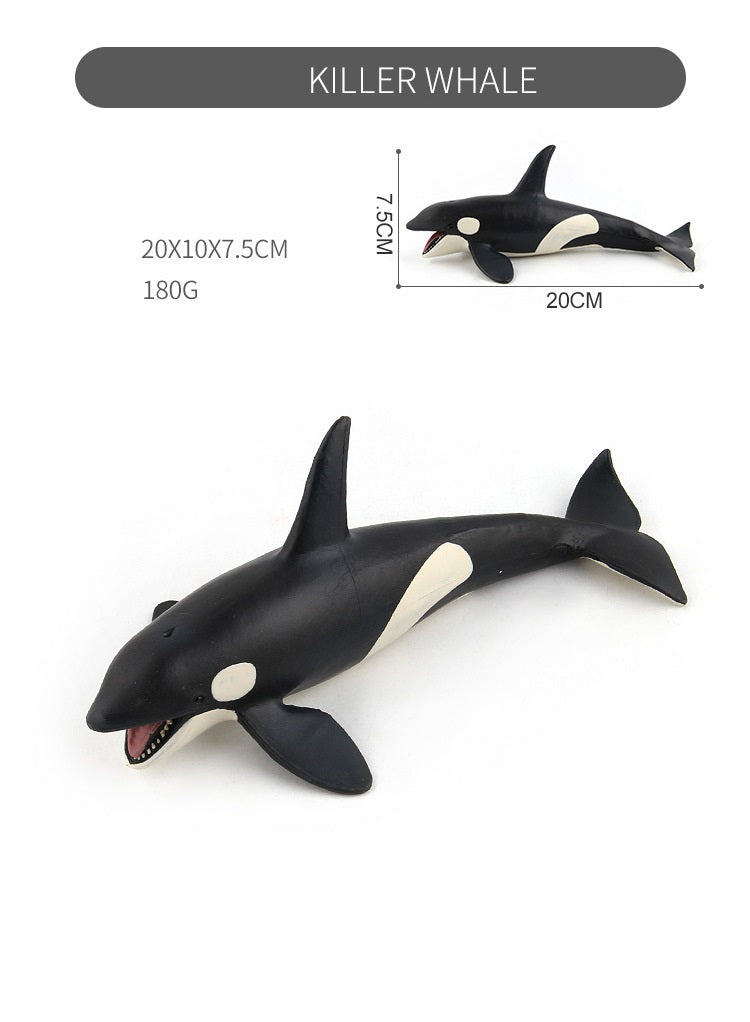 Large 9 Whales Animals Marine Ocean Mammals 9 Big Model Figures 18cm -27cm