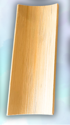 Wooden Cups And Bowls Plates Loose Parts Play