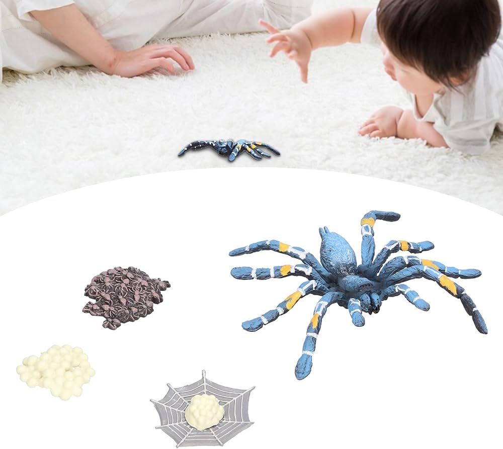 Animal Life Cycle Toy Spider
