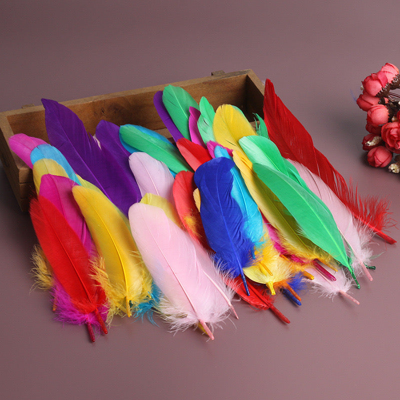 Goose Pointer Feather pack of 100 Kids Art Supplies - HAPPY GUMNUT