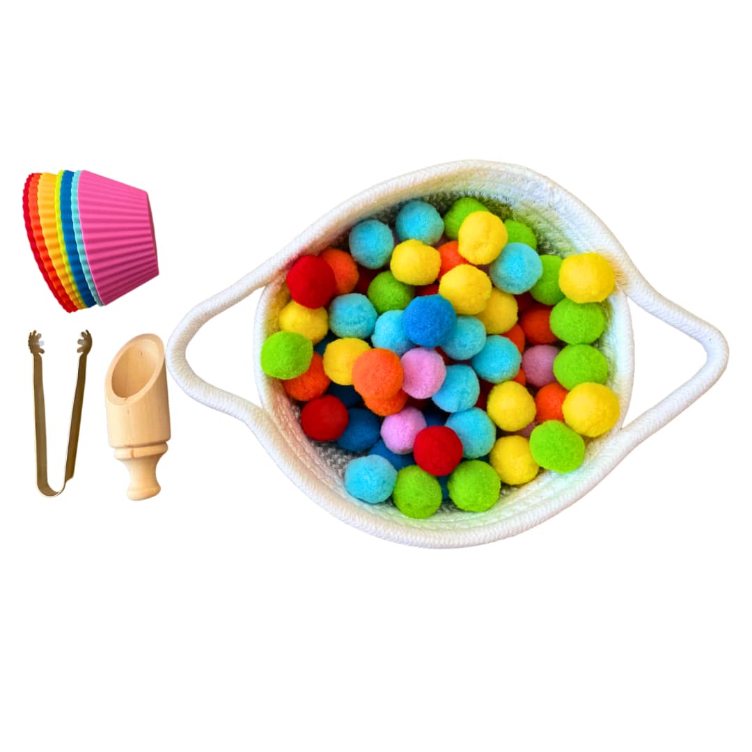 Montessori Kids Pom Poms Transfer Activity Colour Ball in a Basket Sorting Activity