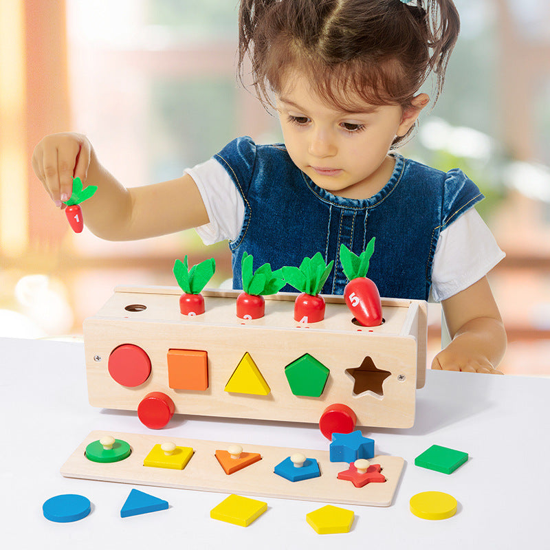 in Classification Colour Shape Sorting Box Montessori inspired