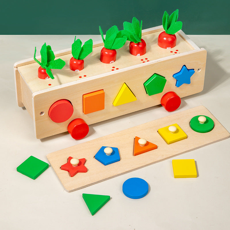 5 in 1 Classifcation Colour Shape Sorting Box Montessori inspired Kids Wooden Toy