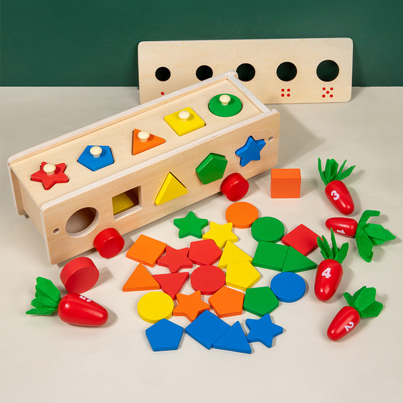 5 in 1 Classifcation Colour Shape Sorting Box Montessori inspired Kids Wooden Toy