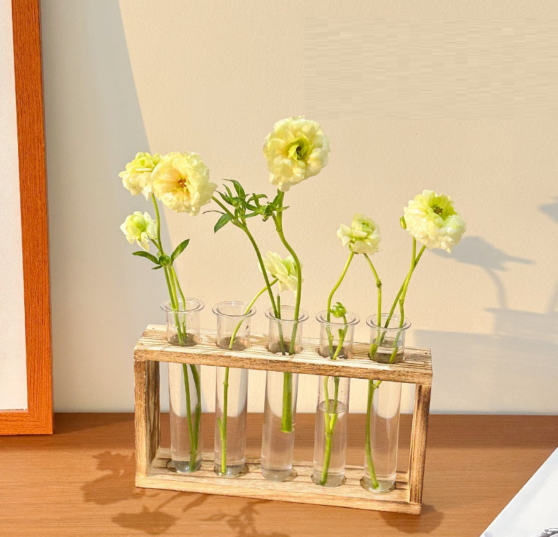 Test Tube hydroponics Science Learning Apparatus / Decor - HAPPY GUMNUT
