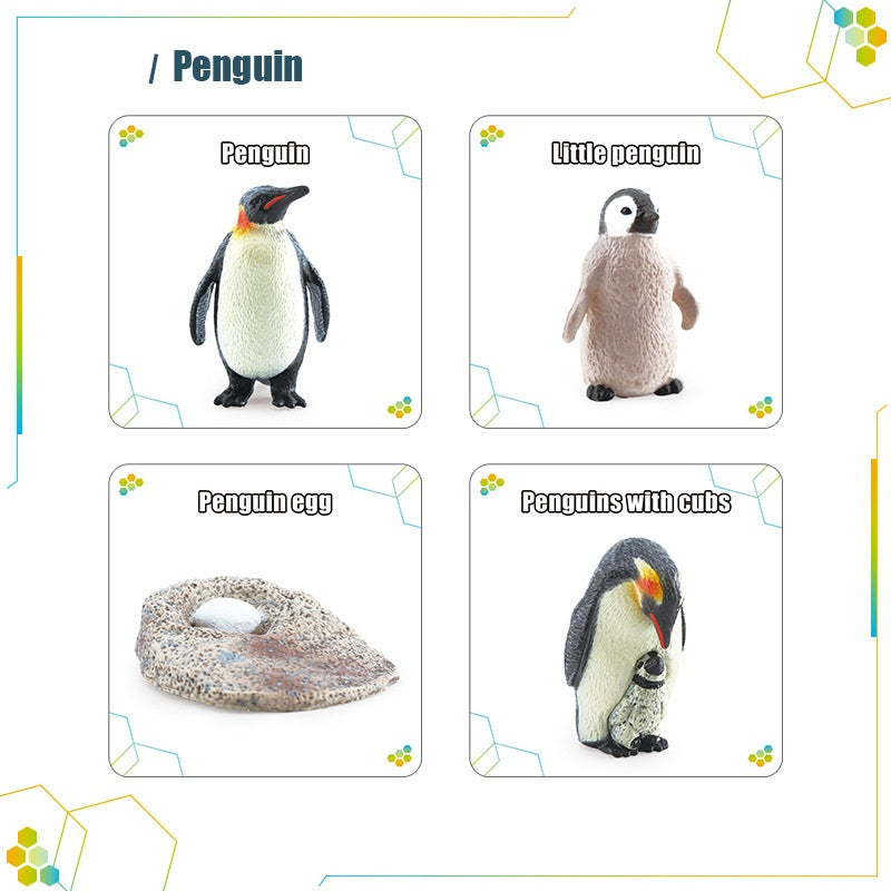 Animals Bugs insect Creatures LIFE CYCLE LEARNING CARDS