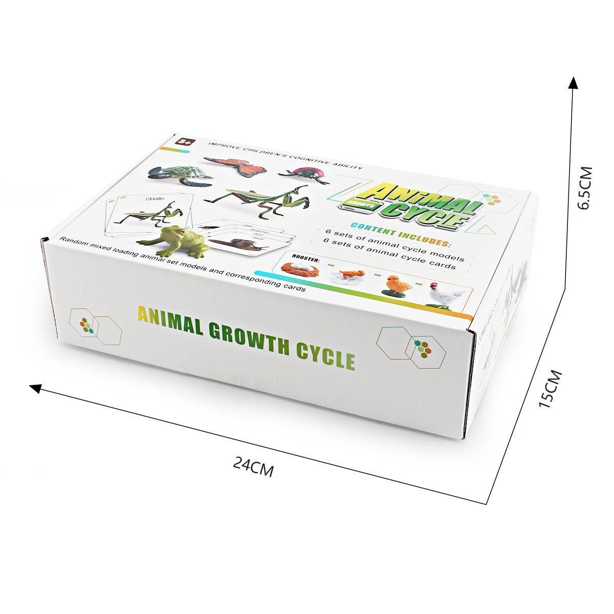 6 Animal Life Cycle Bundle Box B With Growth Cards