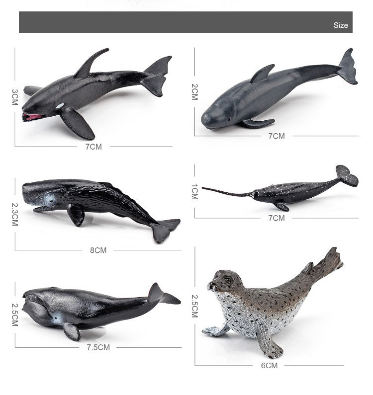 Marine Animals B PVC Model Figures Set of 12 Educational Teaching Toy