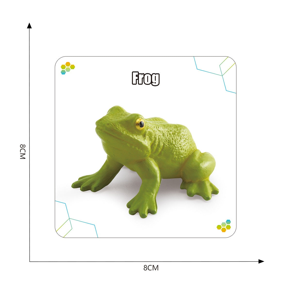 Animals Bugs insect Creatures LIFE CYCLE LEARNING CARDS