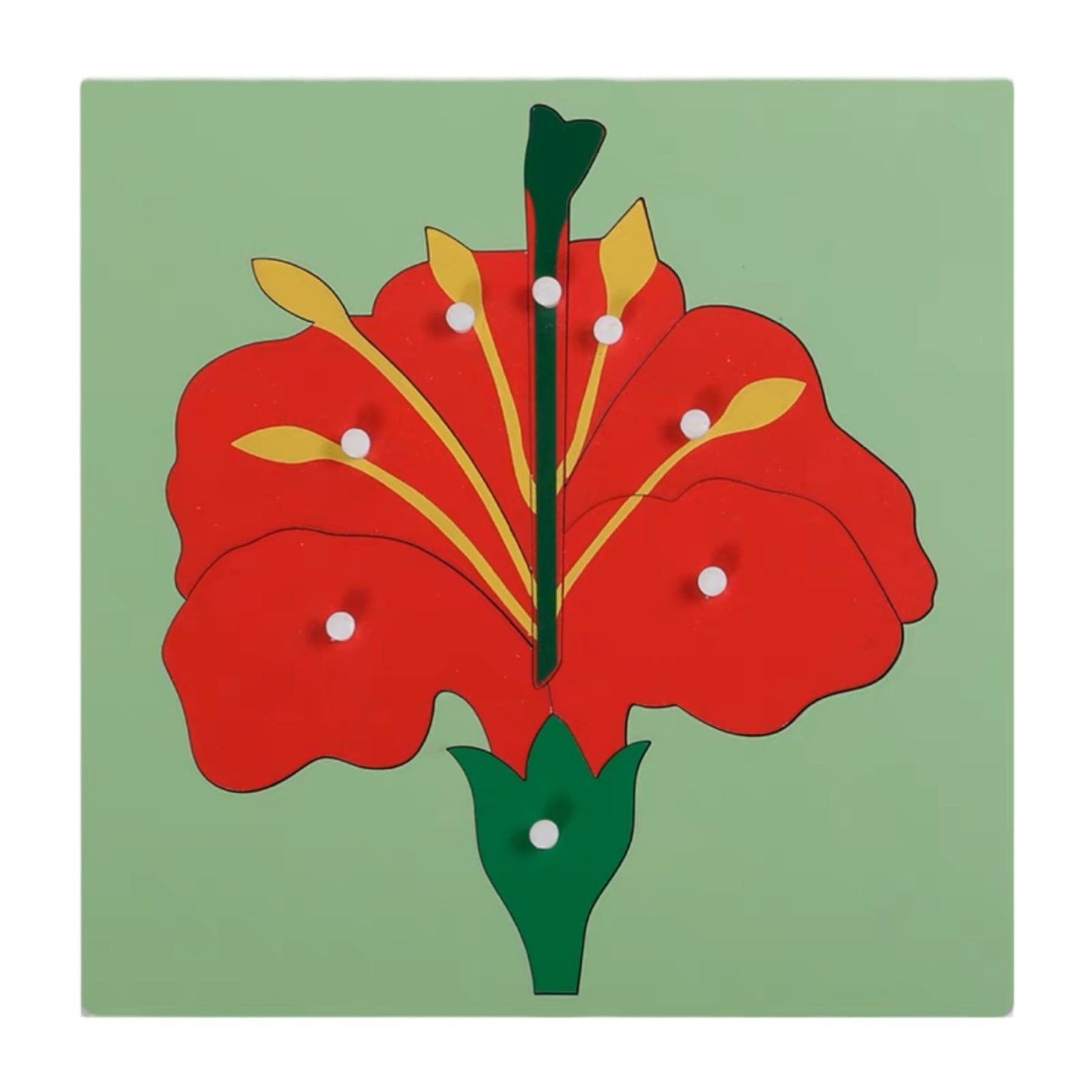 Montessori Plant Puzzles Tree Leaf Flower