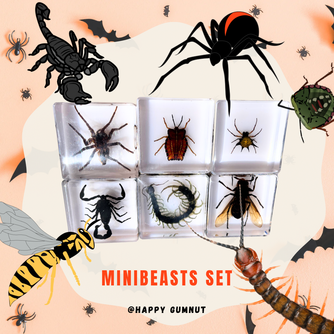 Halloween Gift Minibeast 6 Insect Resin Set Epoxy Wasp Bug Spider Scorpion Centipede Specimen Educational Toy