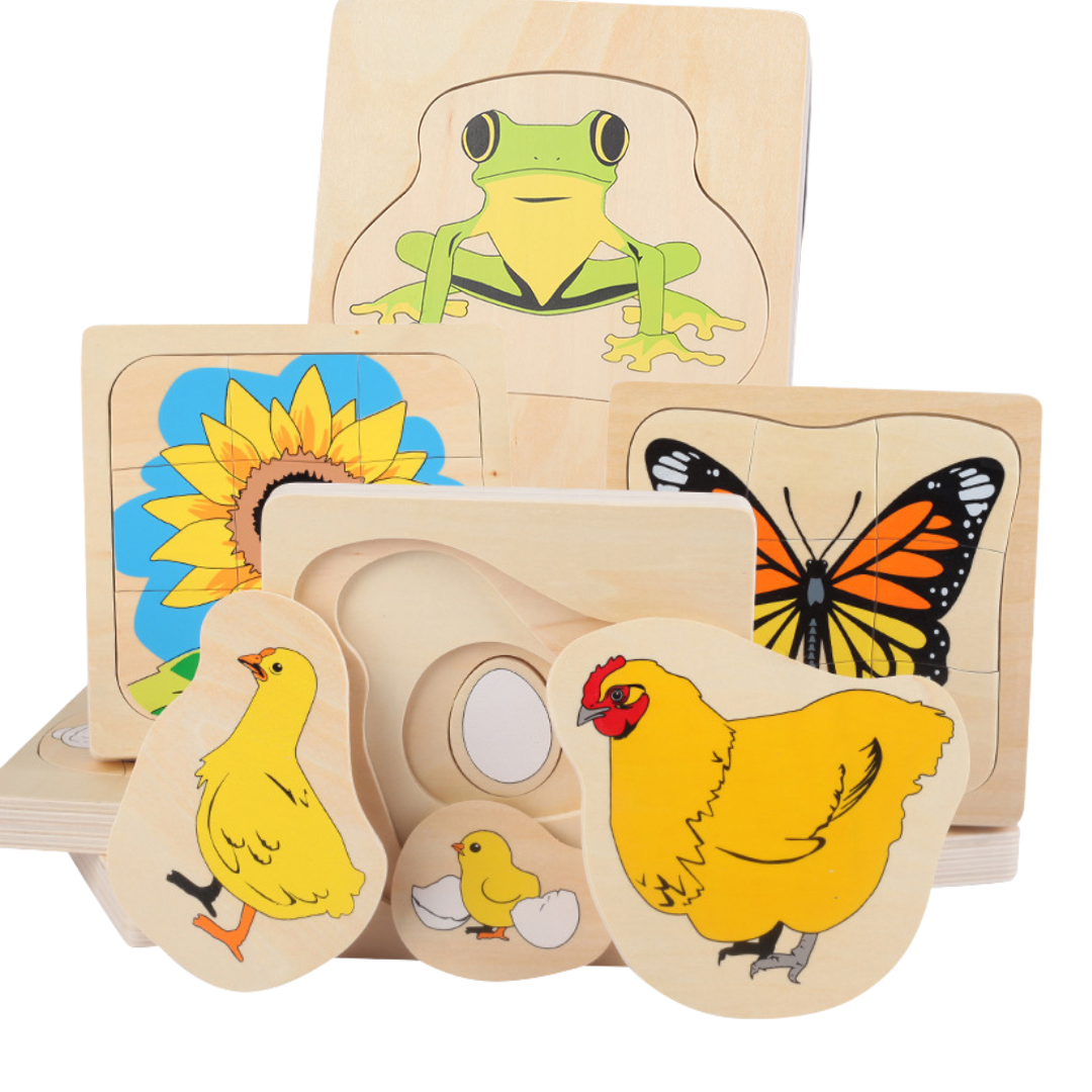 Montessori Sunflower Lifecycle Puzzle Wooden Life Cycle Learning Puzzles - HAPPY GUMNUT
