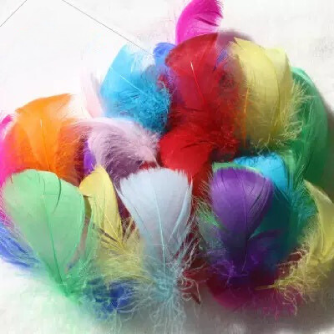 Short Feather Mixed Colour Pack of 100 - HAPPY GUMNUT