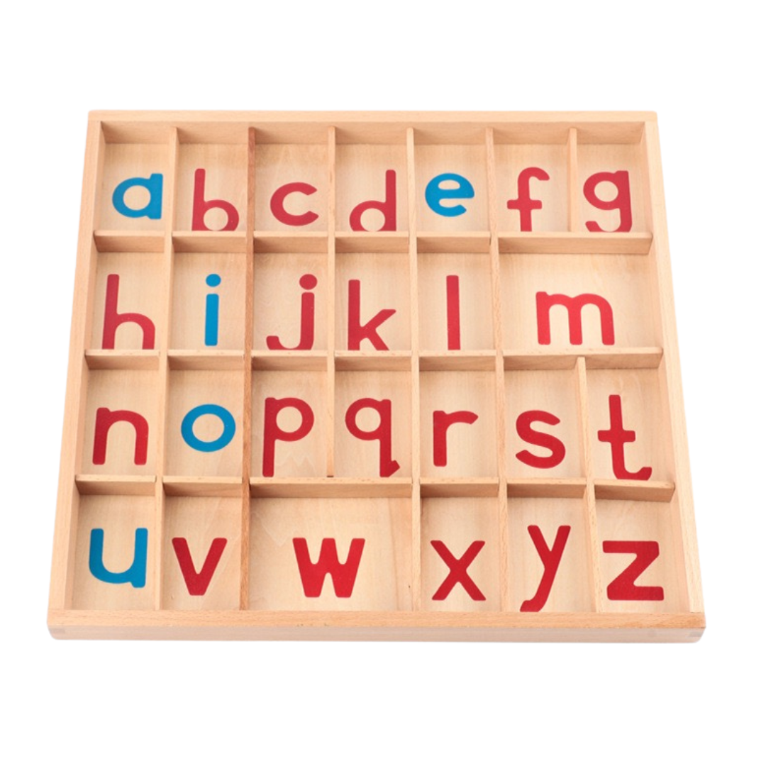 Basic Montessori Moveable Alphabet 26 set or Tray you decide!
