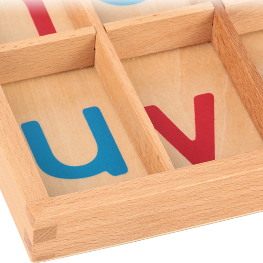 Basic Montessori Moveable Alphabet 26 set or Tray you decide!