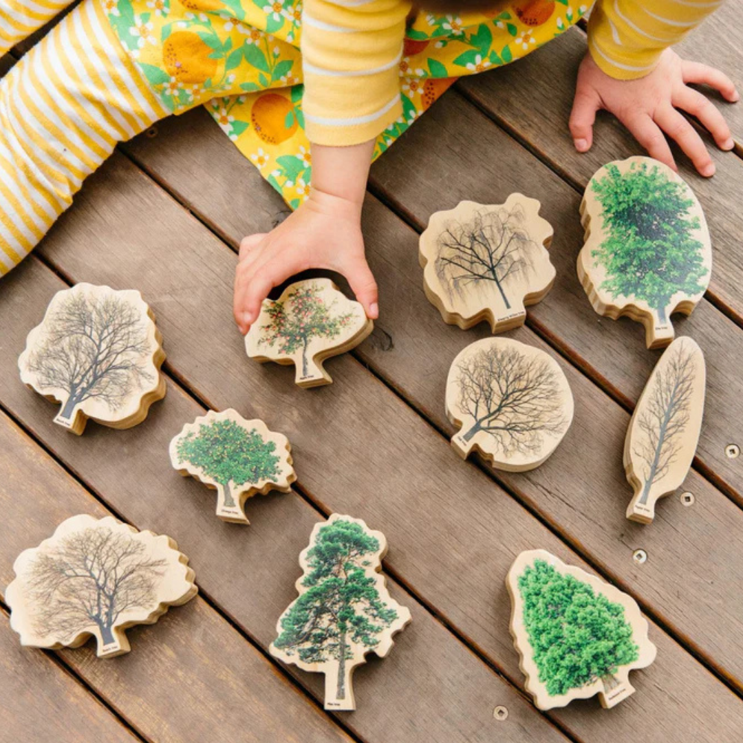 Freckled Frogs 10 Pcs Wooden Tree and Seasons Double-Sided Kids Educational Blocks Set