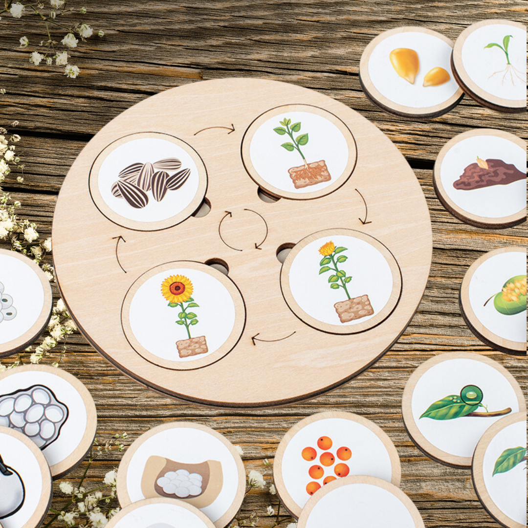 Montessori Toy Life Cycle Board 10 Animal, Chicken Turtle Butterfly Frog Life Cycle Learning Toy