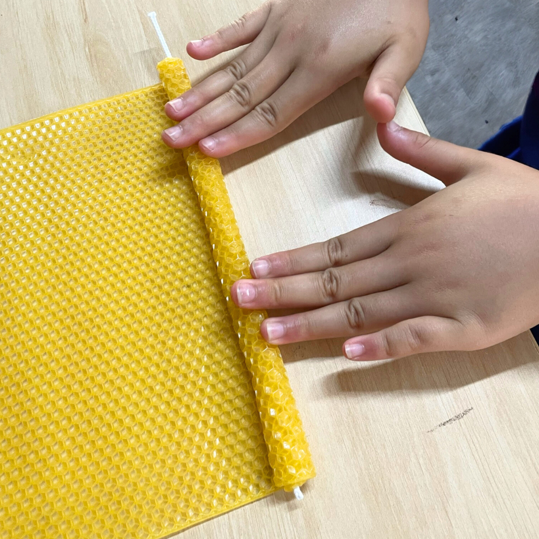 6 Beeswax Candle Rolling Sheets Natural Honey Scent Kids Bee Theme Craft DIY Making Kit - HAPPY GUMNUT