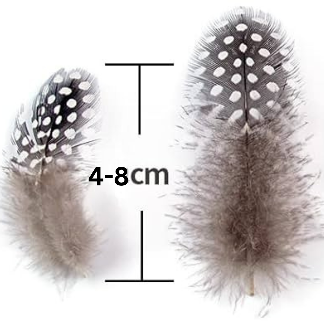 Natural Guinea Fowl Spotted Feathers Pack of 10