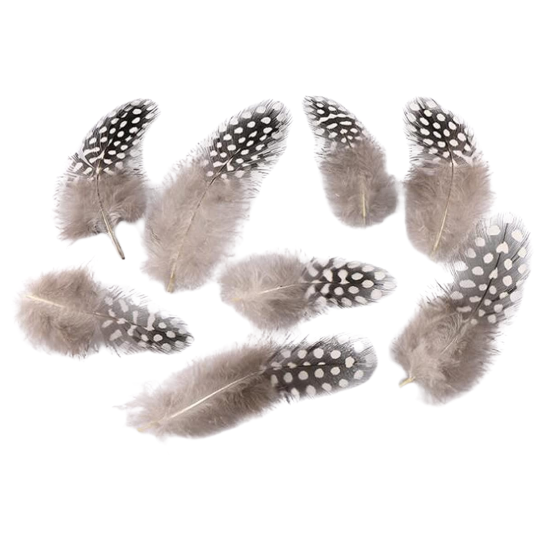 Natural Guinea Fowl Spotted Feathers Pack of 100