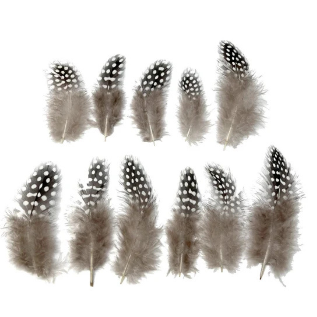 Natural Guinea Fowl Spotted Feathers Pack of 100