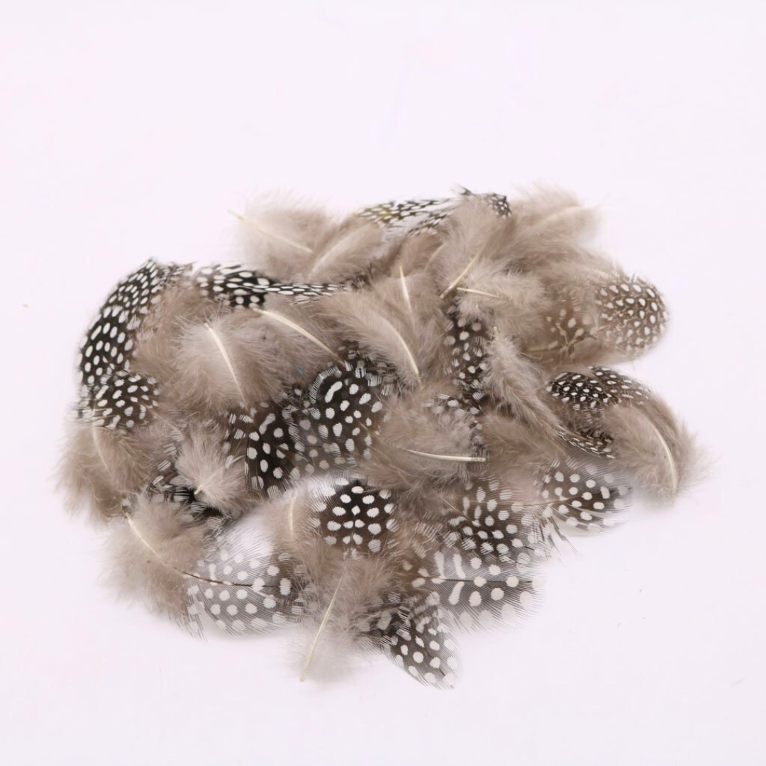 Natural Guinea Fowl Spotted Feathers Pack of 100