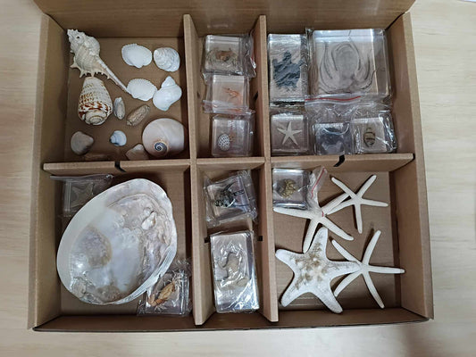 Montessori Premium Marine Resin Theme Bundle Set