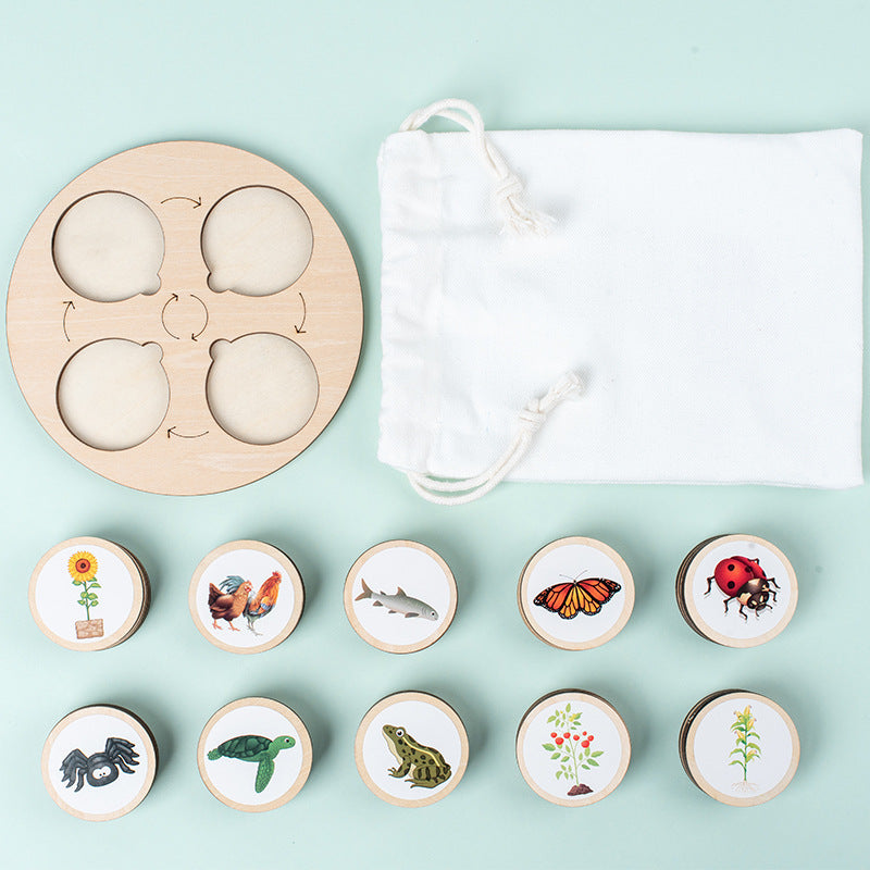 Montessori Life Cycle Activity Board - HAPPY GUMNUT