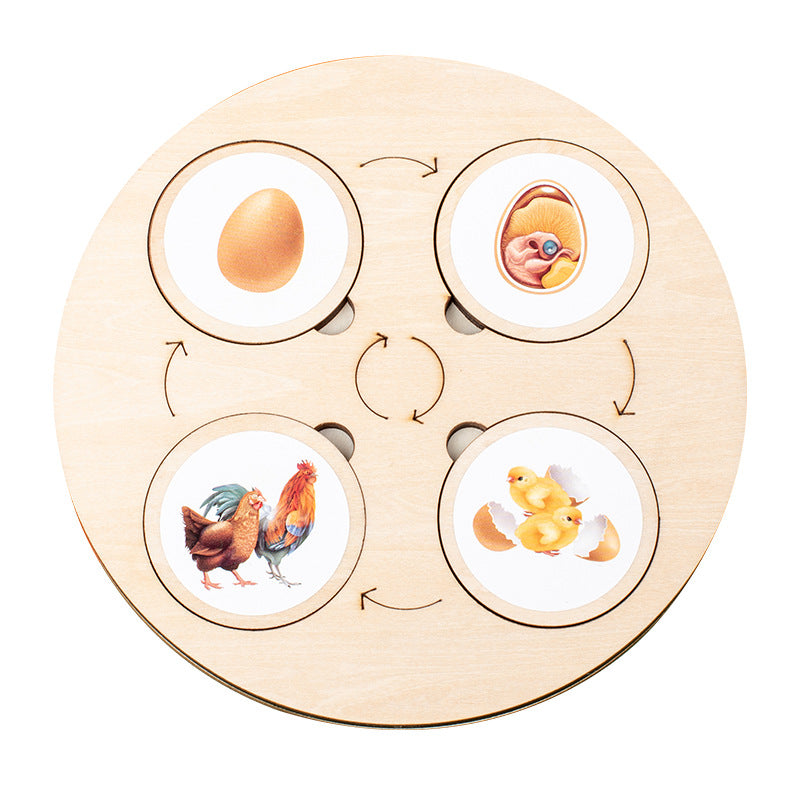 Montessori Life Cycle Activity Board - HAPPY GUMNUT