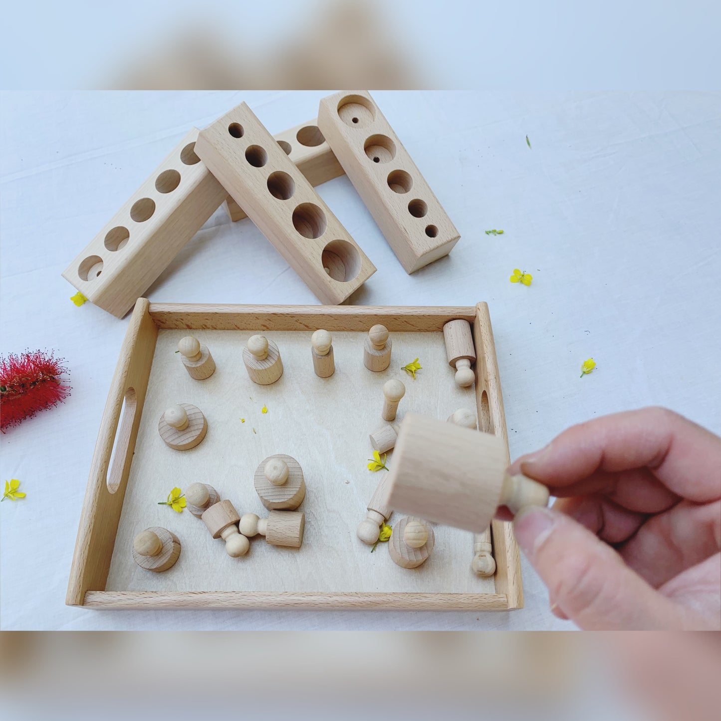 Montessori Knobbed Cylinders Set of 4 - HAPPY GUMNUT