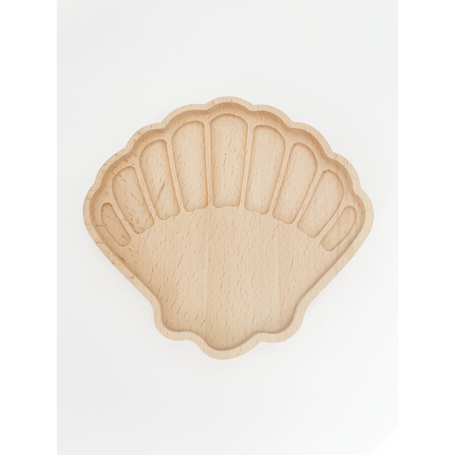 Seashell Sorting Tray - HAPPY GUMNUT