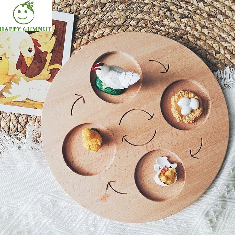 Wooden Animal Life Cycle Discovery Board Handmade Sorting Tray - HAPPY GUMNUT