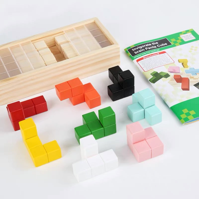 Wooden 3D Geometric Shapes Sorting Box Penta Cube - HAPPY GUMNUT