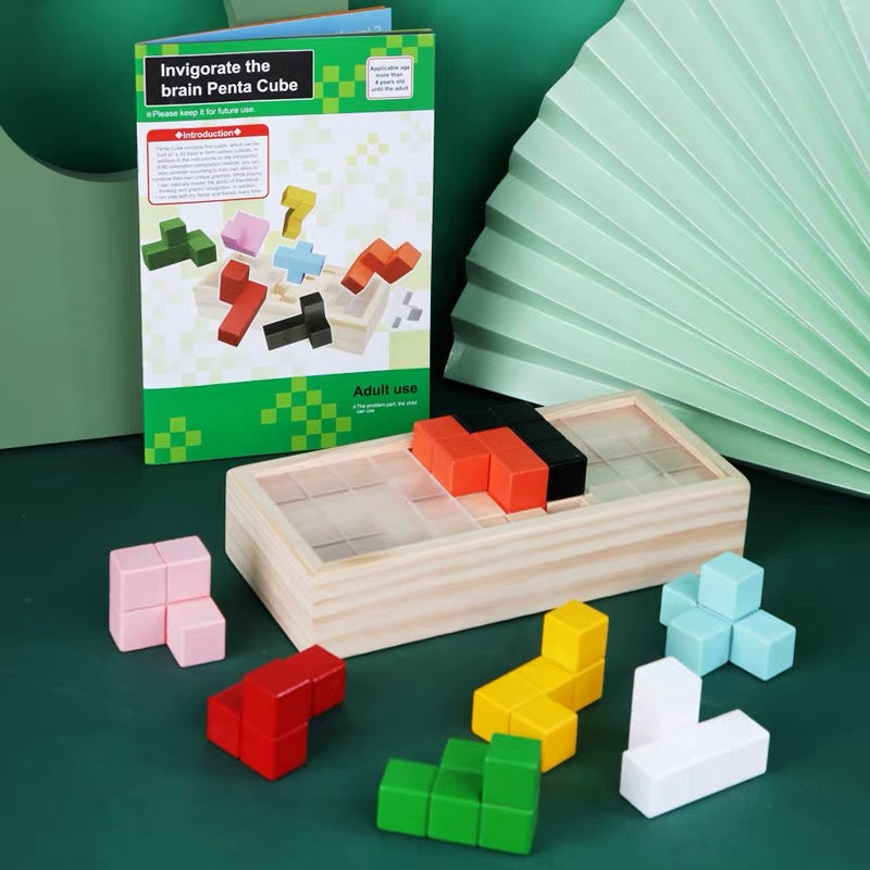 Wooden 3D Geometric Shapes Sorting Box Penta Cube - HAPPY GUMNUT
