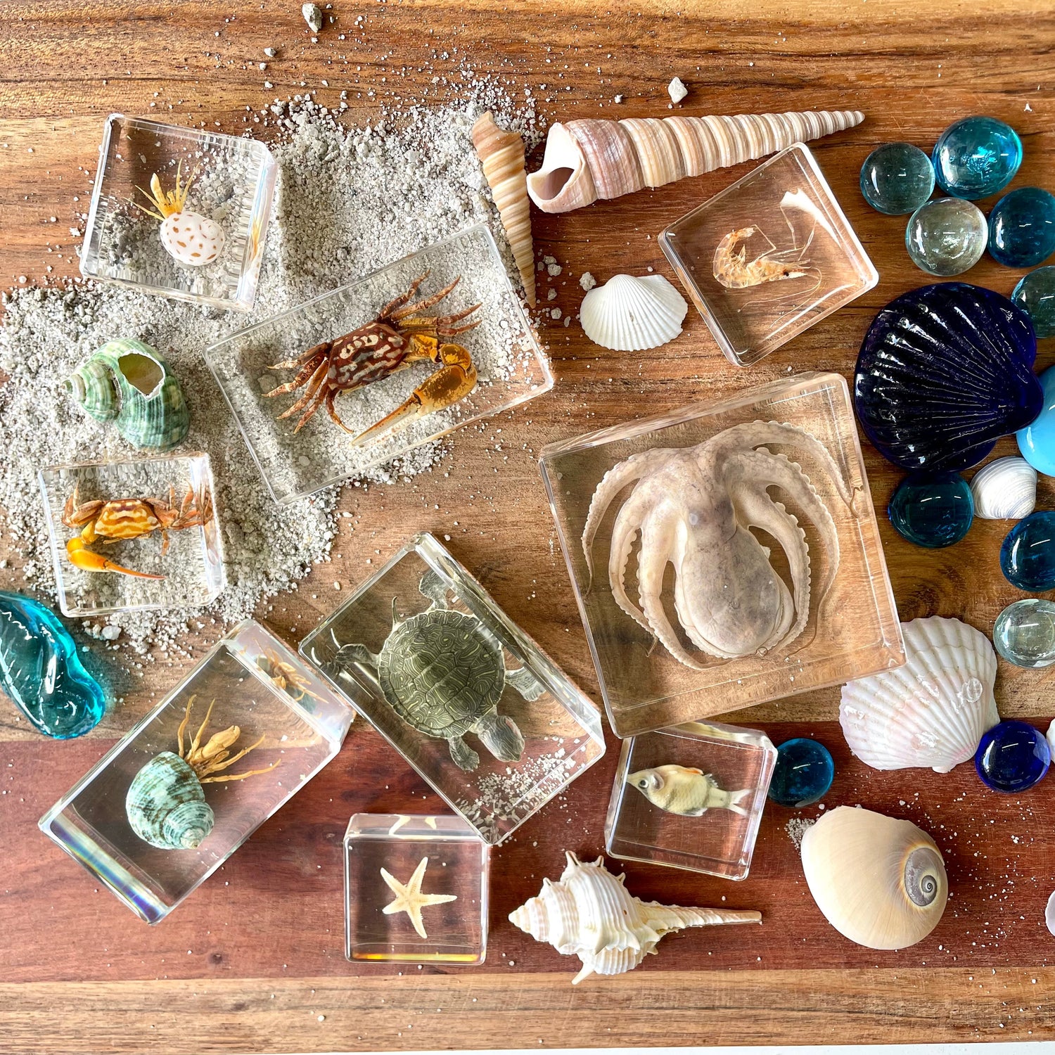 Resin Specimens