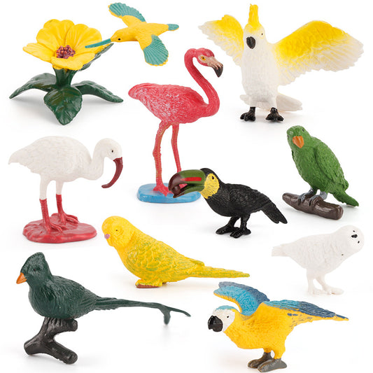9 Different Bird Species Animals PVC Learning Toys
