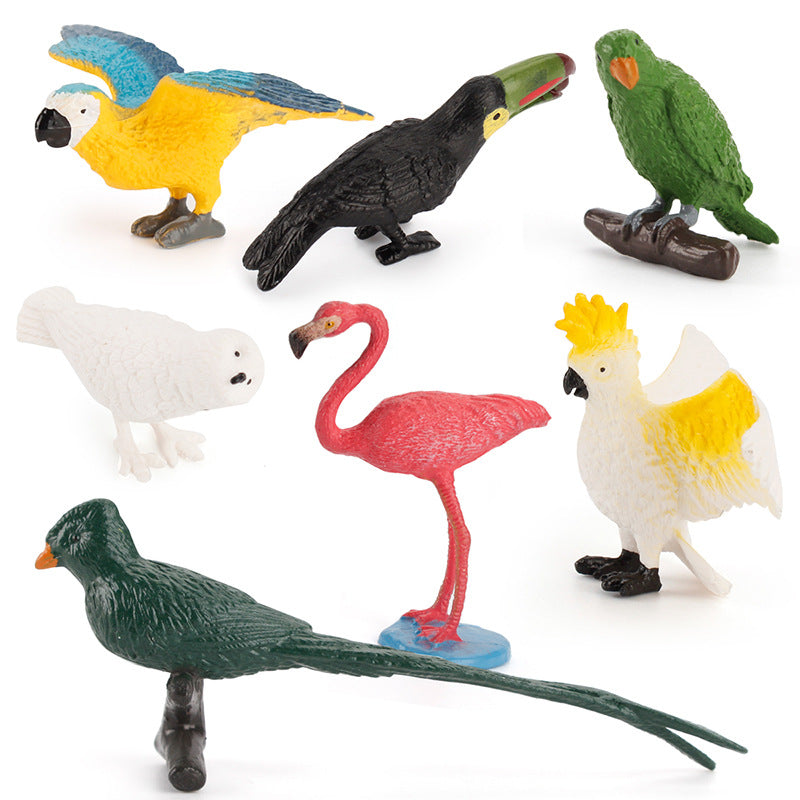 9 Different Bird Species Animals PVC Learning Toys