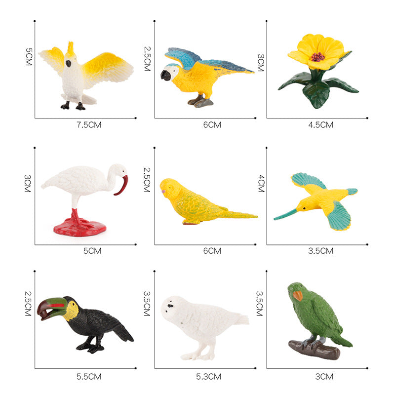 9 Different Bird Species Animals PVC Learning Toys