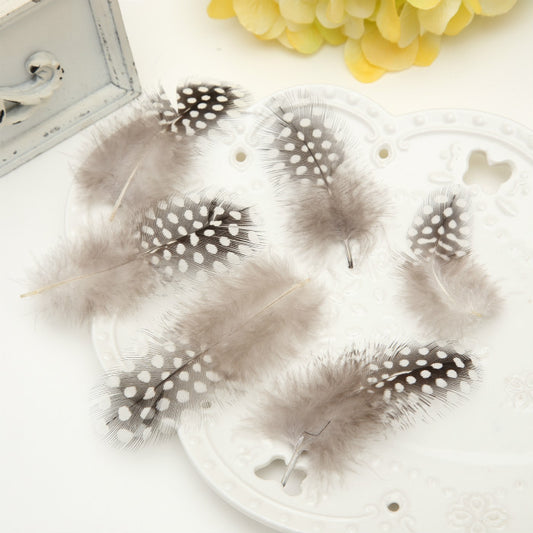 Large Natural Duck Tail Eye Feathers 20-35cm Pack of 5