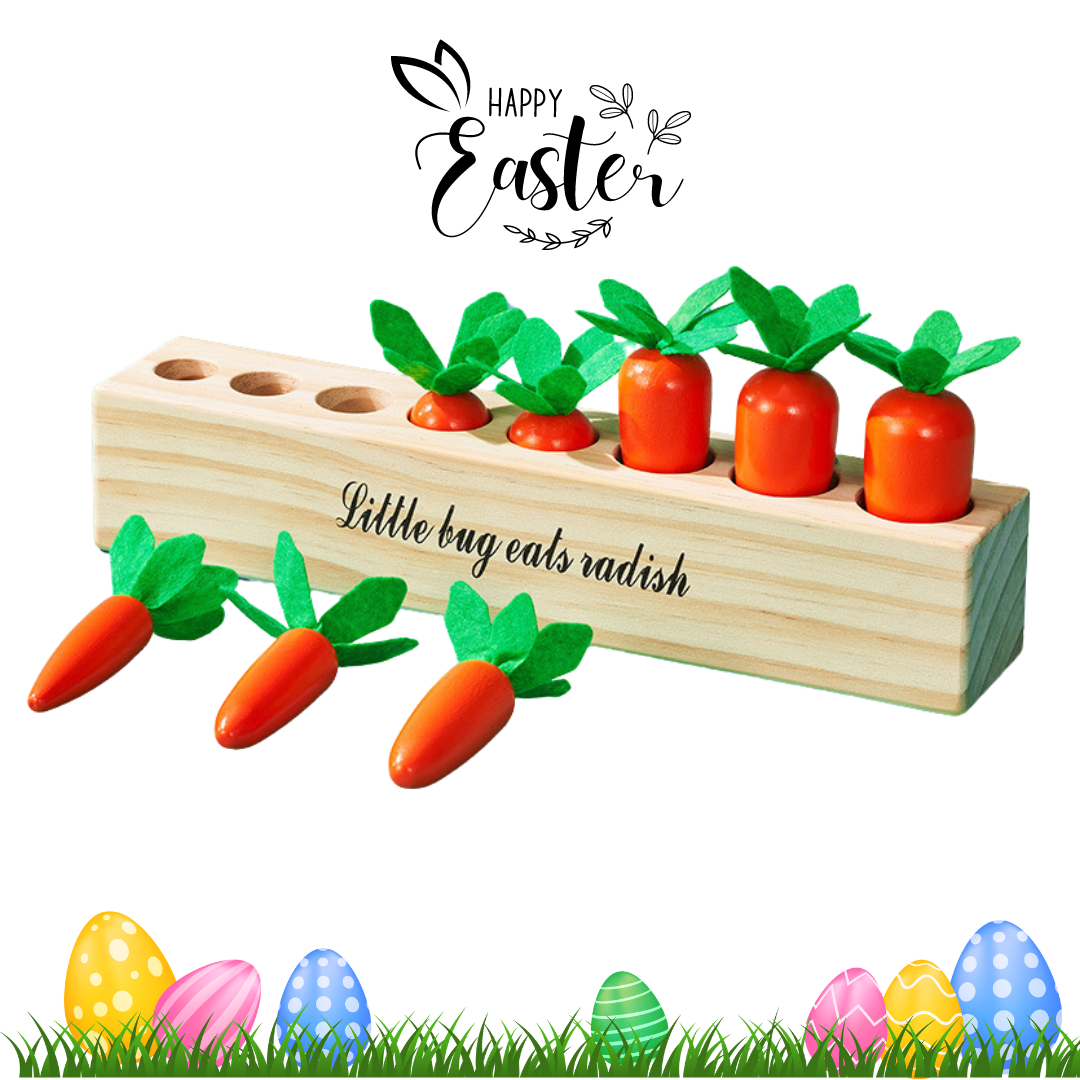 Montessori Inspired Carrot Cylinders Board Sensory Toy