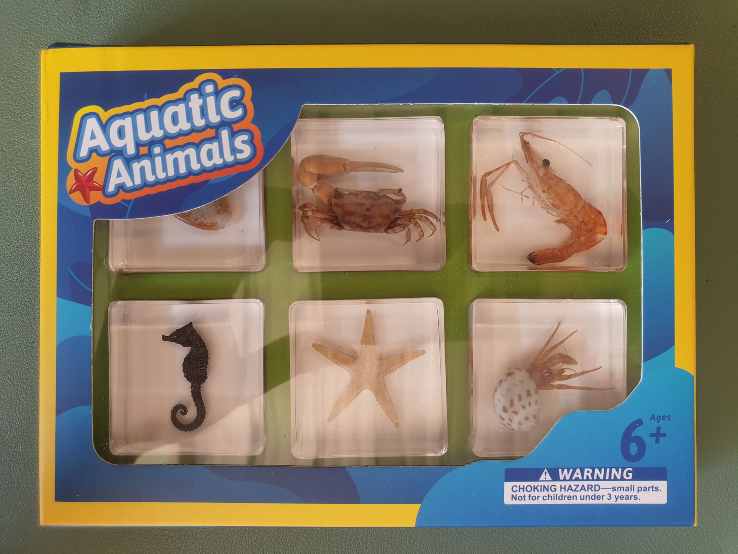 6 Aquatic Animals Resin Specimens Gift Set For Children - HAPPY GUMNUT