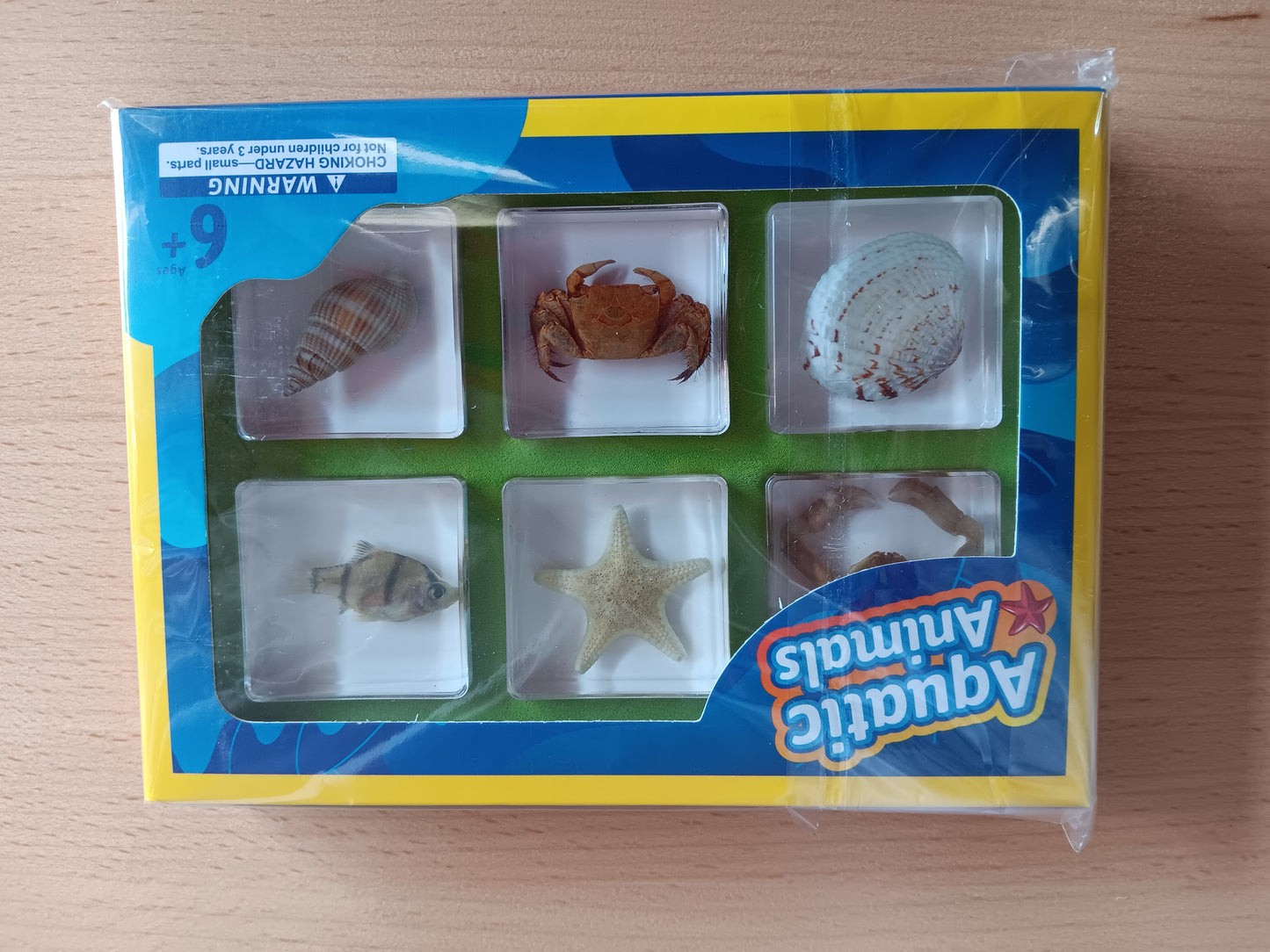 6 Aquatic Marine Animals Resin Epoxy Specimens Gift Set For Children Style B Crab Starfish