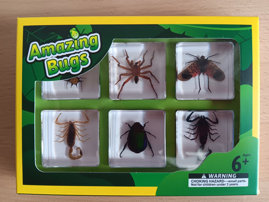 Arthropods exoskeleton Insects Bugs Animals Resin Epoxy Specimens Gift Set For Children