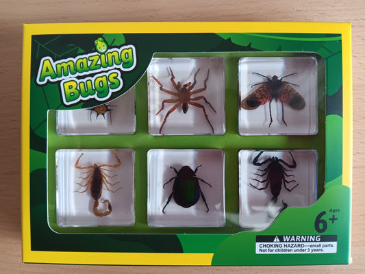 Insects Bugs Animals Resin Epoxy Specimens Gift Set For Children Anthropods