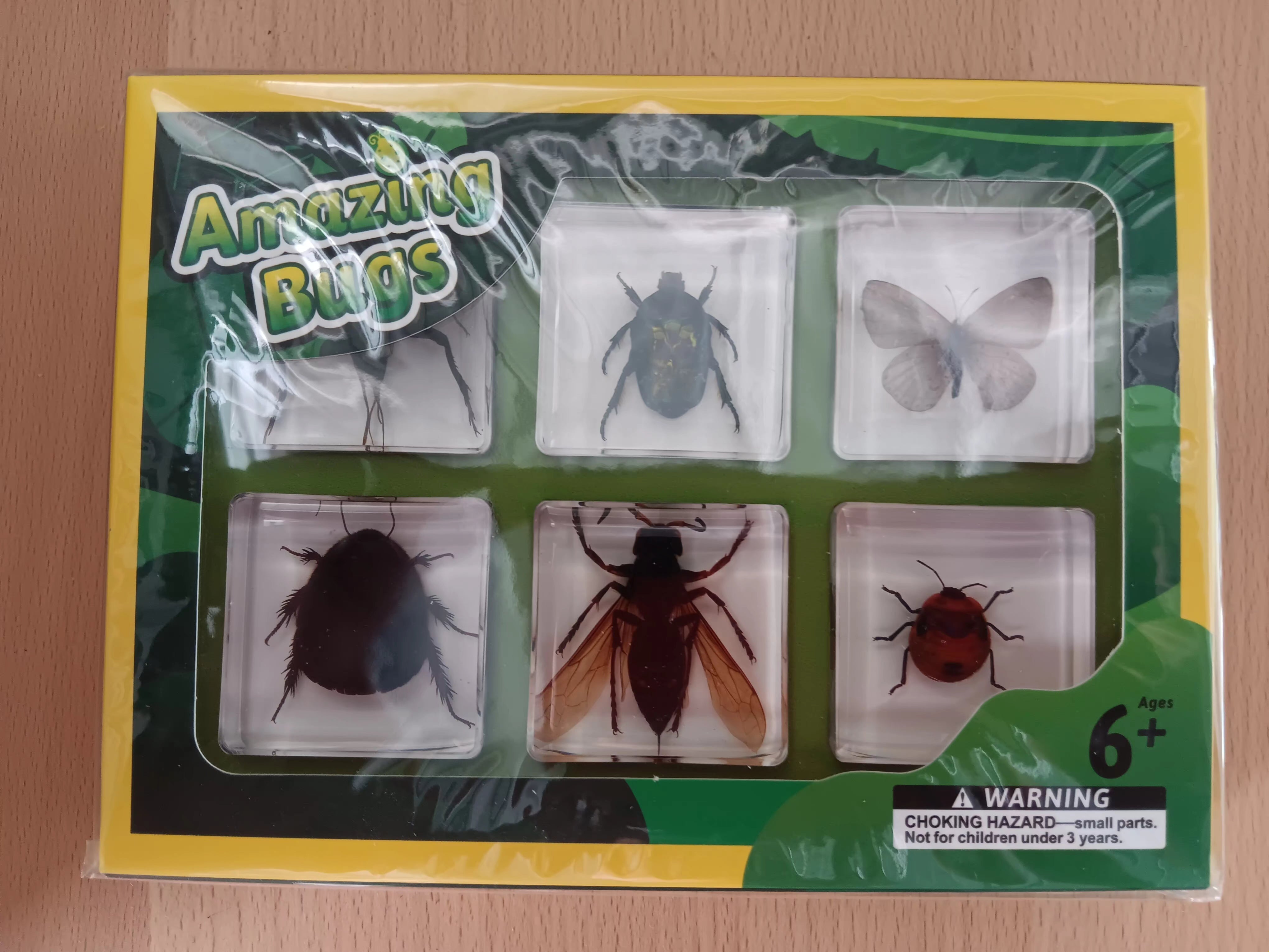 Insecta Insects Bugs Animals Resin Epoxy Specimens Gift Set For Childr