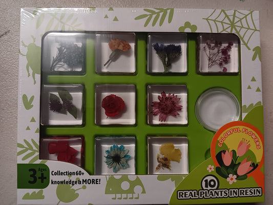 Animals Insect Resin Epoxy Specimens 10 Flowers and Fauna GIFT pack With Guide Book and Magnifying Glass
